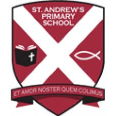 12 Science Club Sessions at St Andrews Primary School